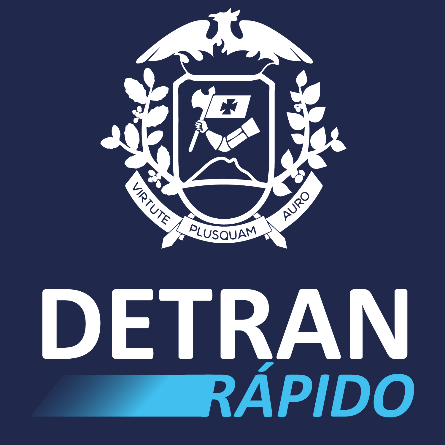 DETRAN RÁPIDO Logo